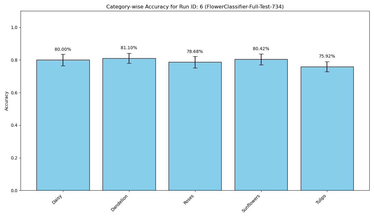 Run 6 Accuracy Report